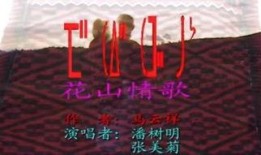 花山情在线观看,穿越时空的浪漫邂逅