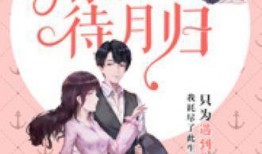 南城吃瓜的小说免费阅读,揭秘都市背后的秘密生活