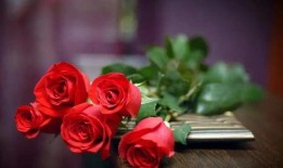 娱乐吃瓜酱带刺的玫瑰,揭秘带刺玫瑰背后的故事